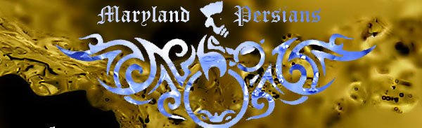 irnal