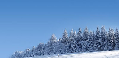 Winter Scene