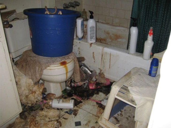 Tenant from Hell!