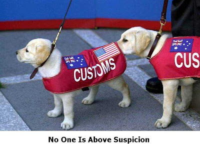 No One Is Above Suspicion!