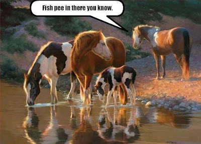 Fish pee in there you know!