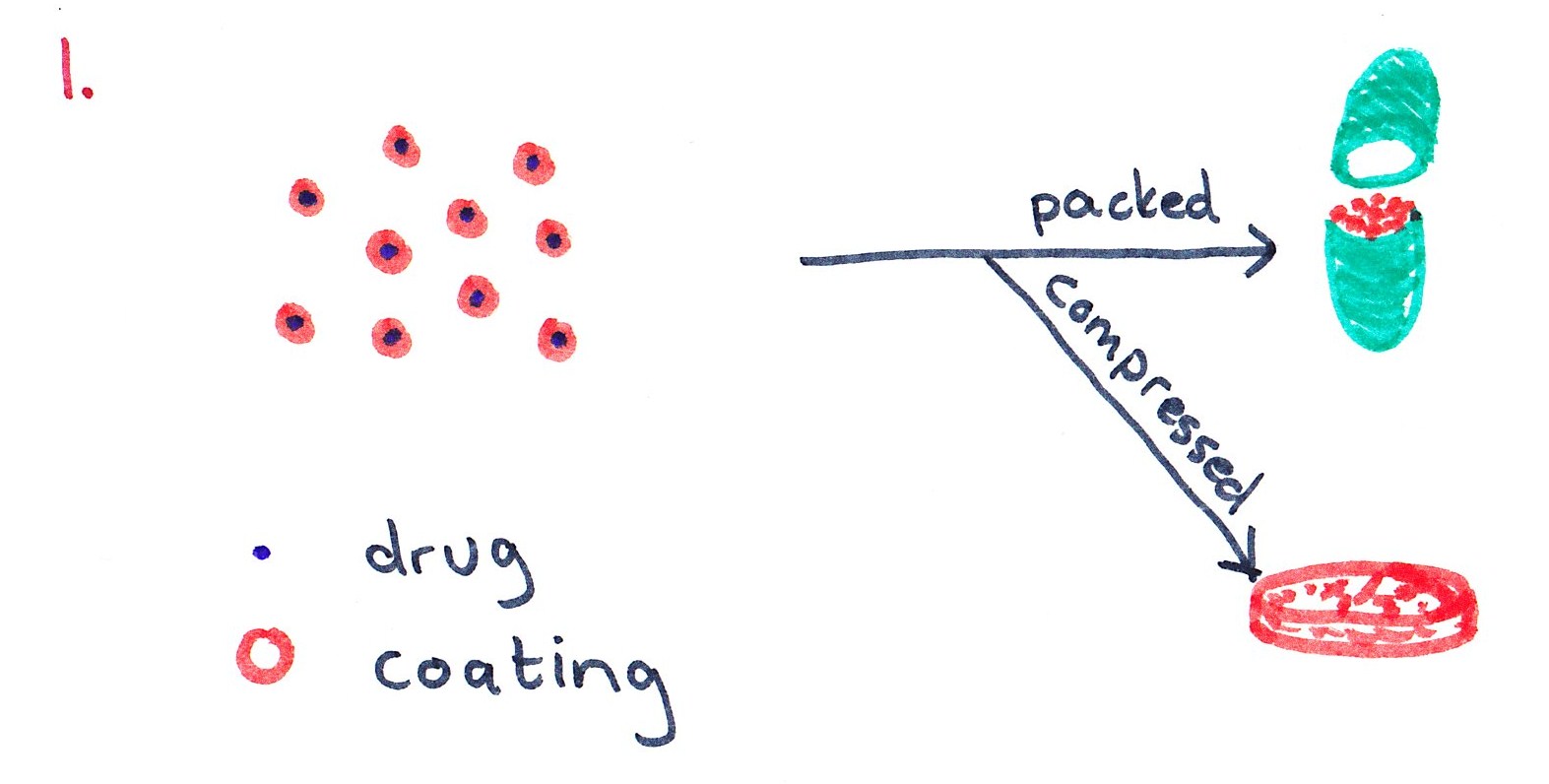 How Things Work Sustained release drugs