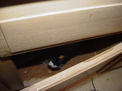 [139845208_187cc28960.jpg]