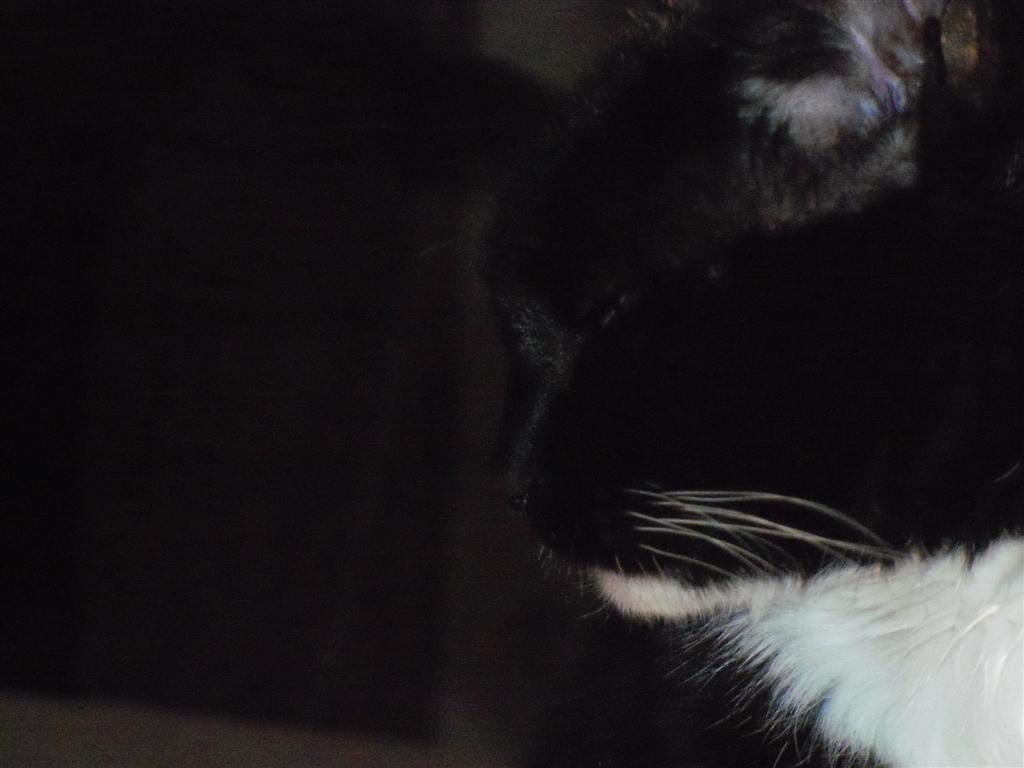 [EBAY+1814+(Large).jpg]