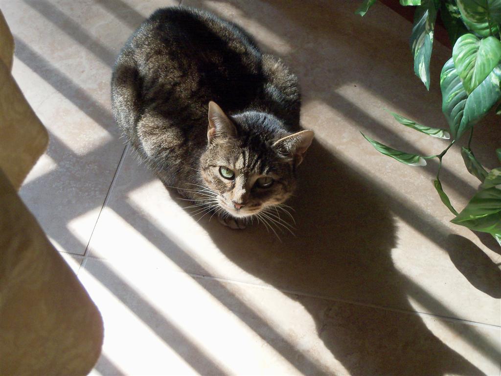 [EBAY+3565+(Large).jpg]