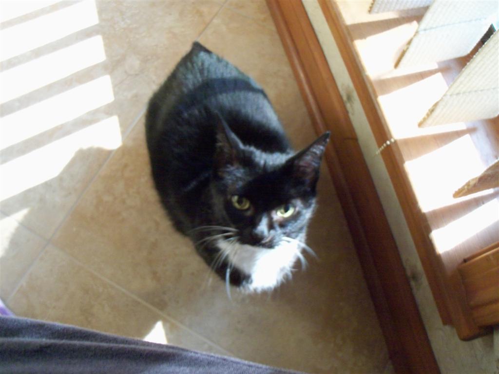 [EBAY+3575+(Large).jpg]