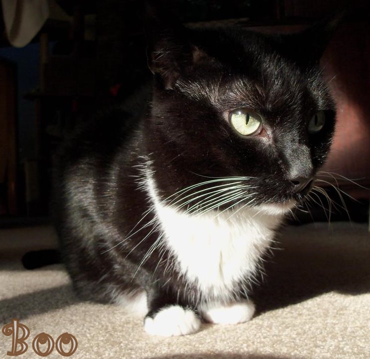 [100_3443+(Large).JPG]