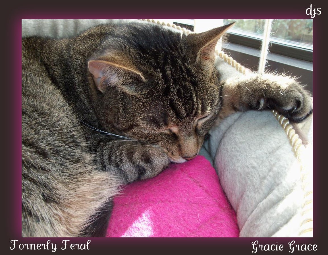 [EBAY+3948a+(Large).jpg]