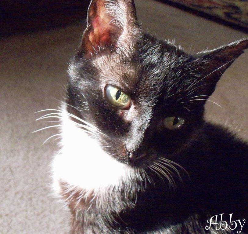 [100_3421+(Large).JPG]