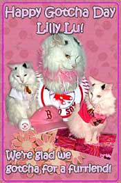 [lillylugotchaday.jpg]