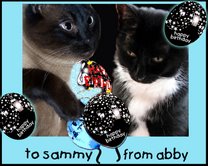 [abbyandsammybd.jpg]