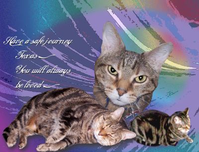 [Always,_Forever,_Texas-400.jpg]