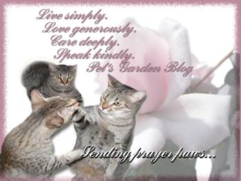 [PetsGarden-PrayerPaws.jpg]