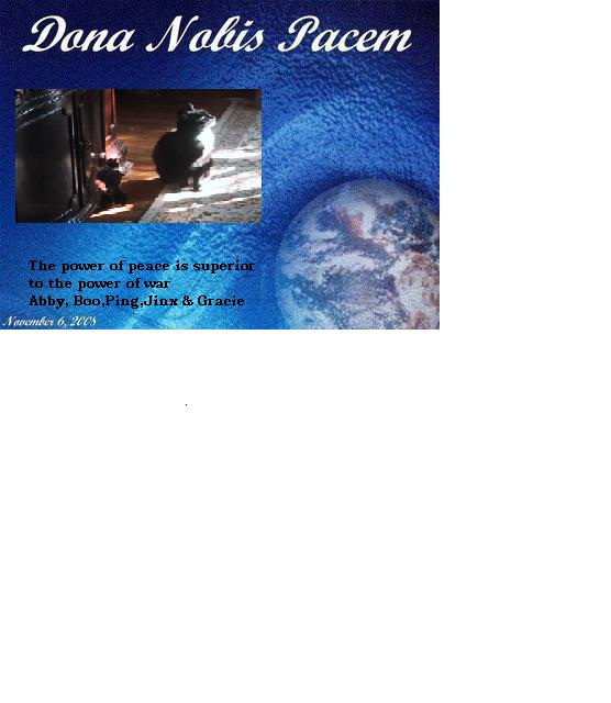 [peace+globe+2008+nov+6.JPG]