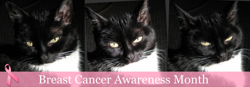 [Picnik+collage1.jpg]