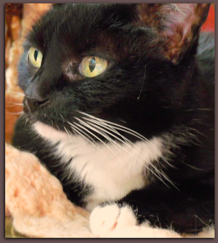 [EBAY+1504+(Large)a.jpg]