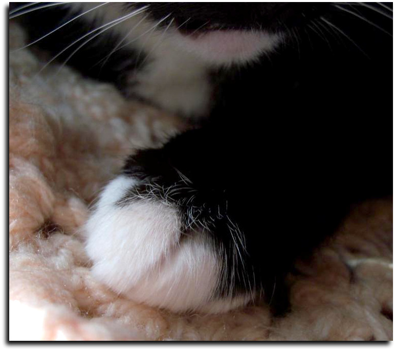 [EBAY+1481+(Large)a.jpg]