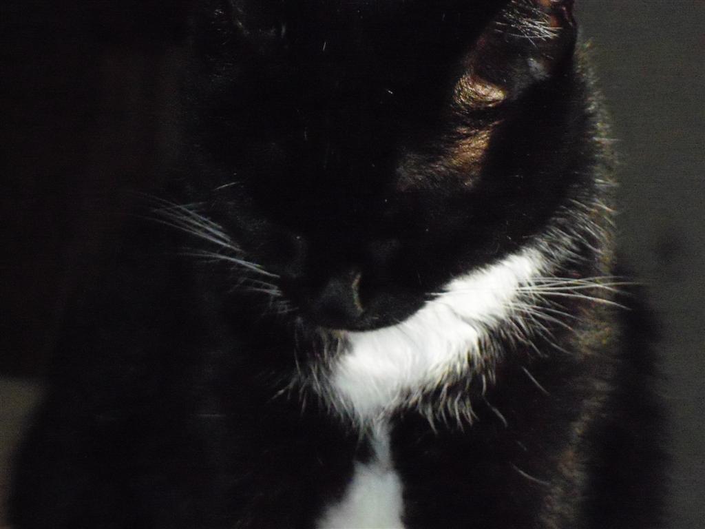 [EBAY+1806+(Large).jpg]