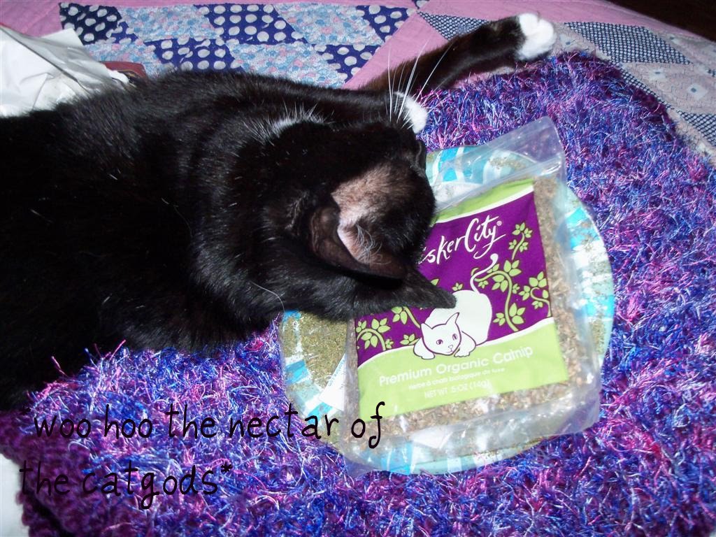 [EBAY+2320+(Large)a.jpg]