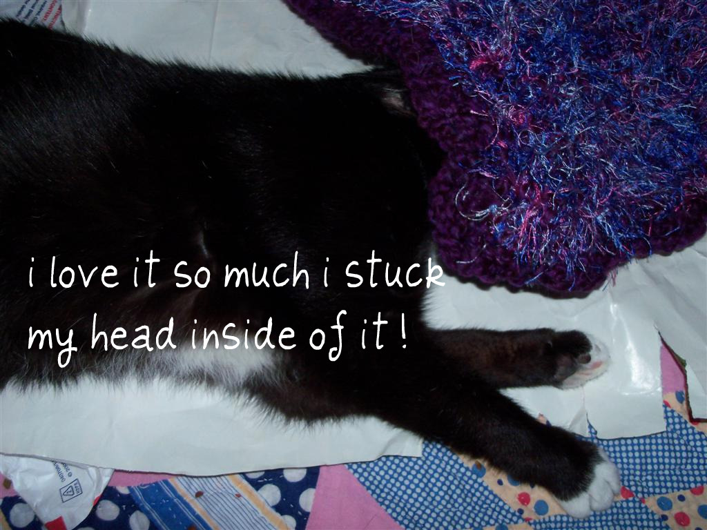 [EBAY+2317+(Large)a.jpg]