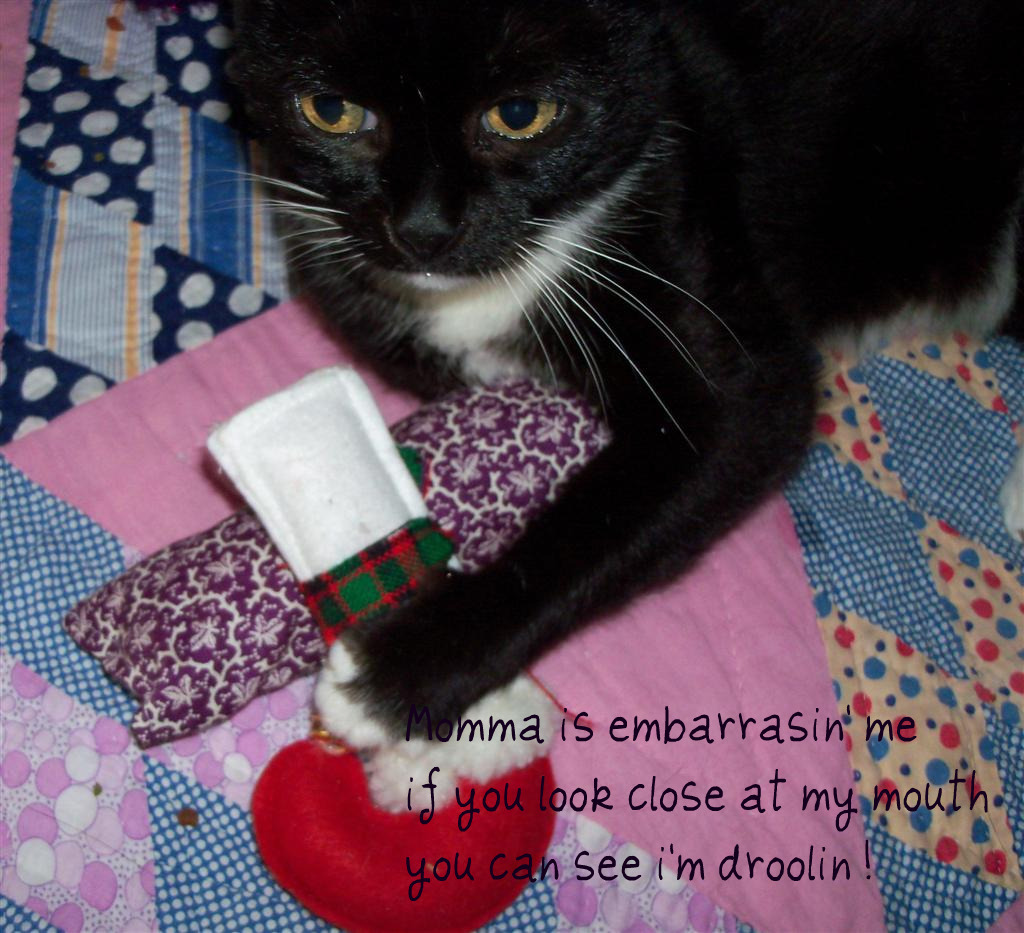 [EBAY+2335+(2)+(Large)a.jpg]