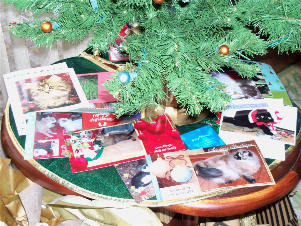 [EBAY+2295+(Large).jpg]