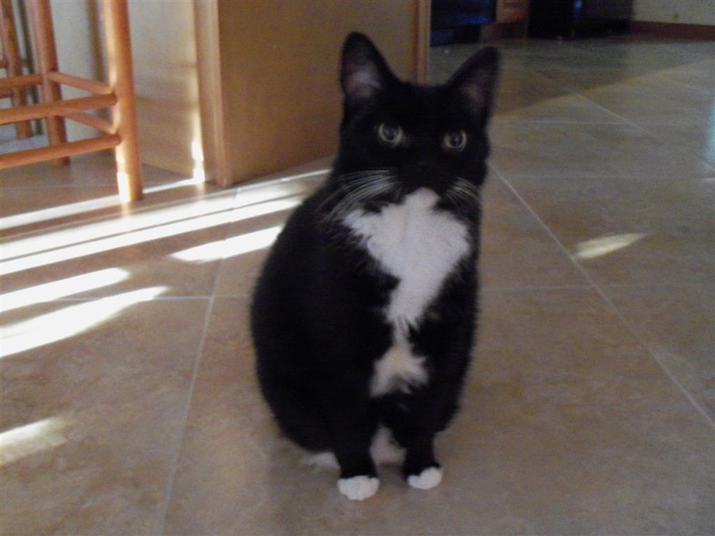 [EBAY+2646+(Large).jpg]