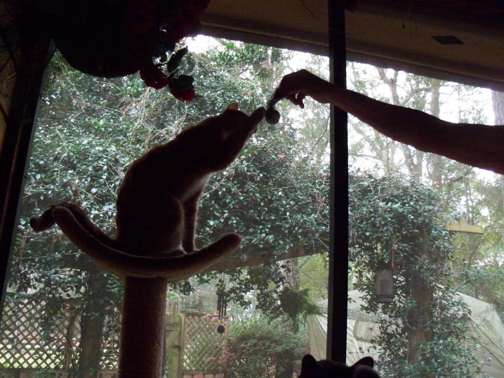 [EBAY+2555+(Large).jpg]