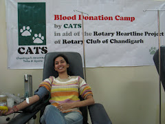 MEOW MOMENTS: CATS 06th blood Donation Camp (10th Dec'09)