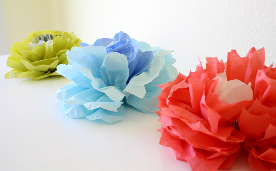 Wallflowers MADE EVERYDAY