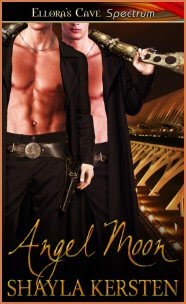 [angelmoon_msr_304x186.jpg]