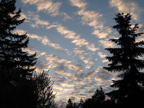 [clouds.jpg]