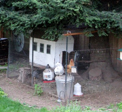 [May+garden+04.jpg]
