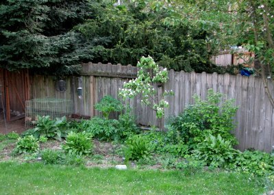 [May+garden+01.jpg]