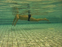 apprendre à nager brasse