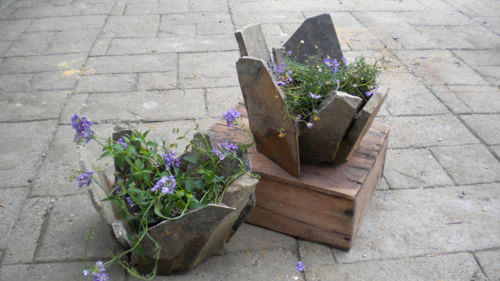 Rosemary's Sampler: Stone Garden Planters