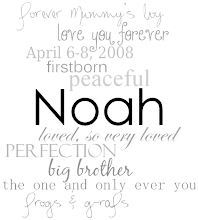 Noah's Hope Collage