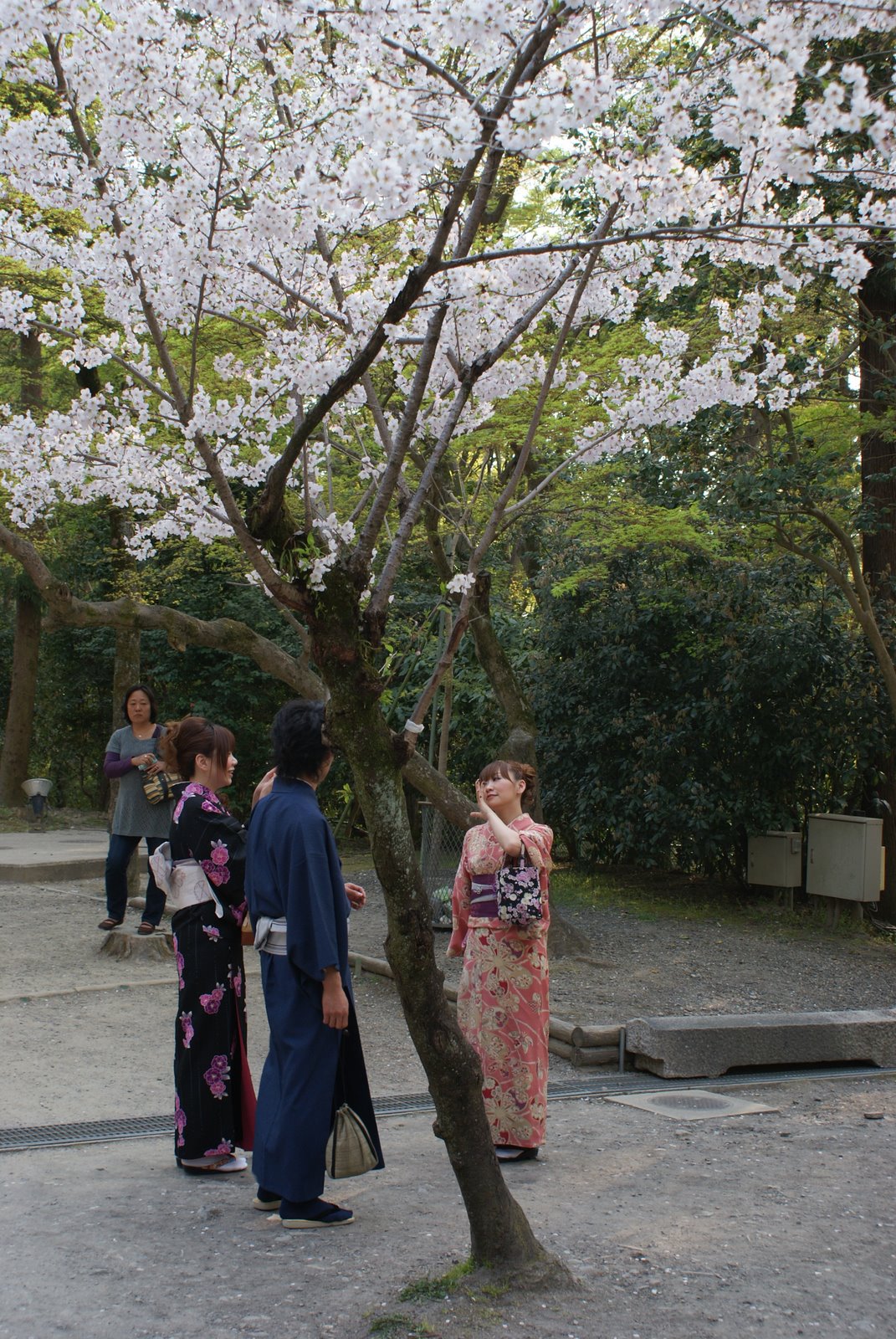 [DSC00760.JPG]