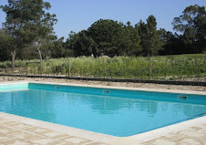 Communal Swimming Pool