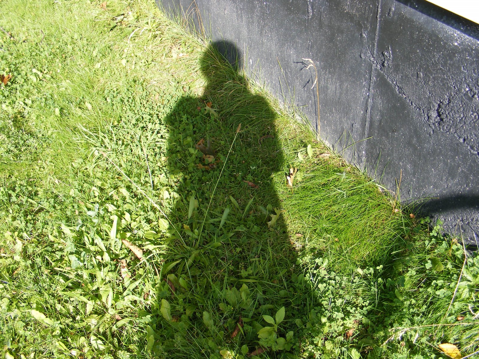 [2008_09170002.JPG]