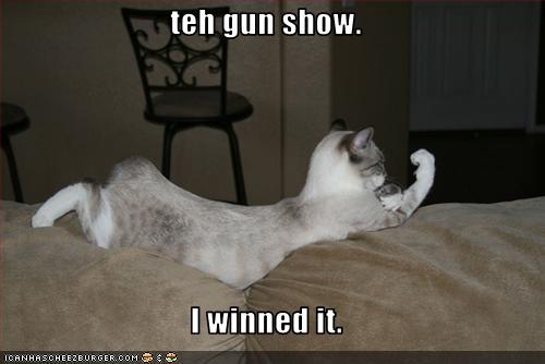 [funny-pictures-cat-won-gun-show.jpg]