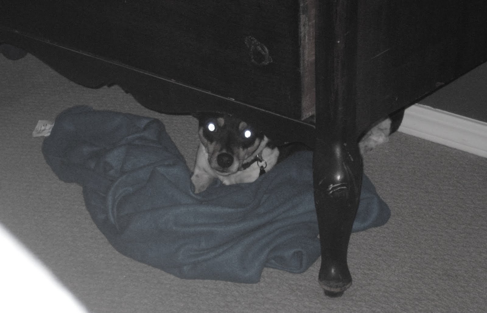 It's a Strange and Lovely Ride Manipulation, thy name is Duke