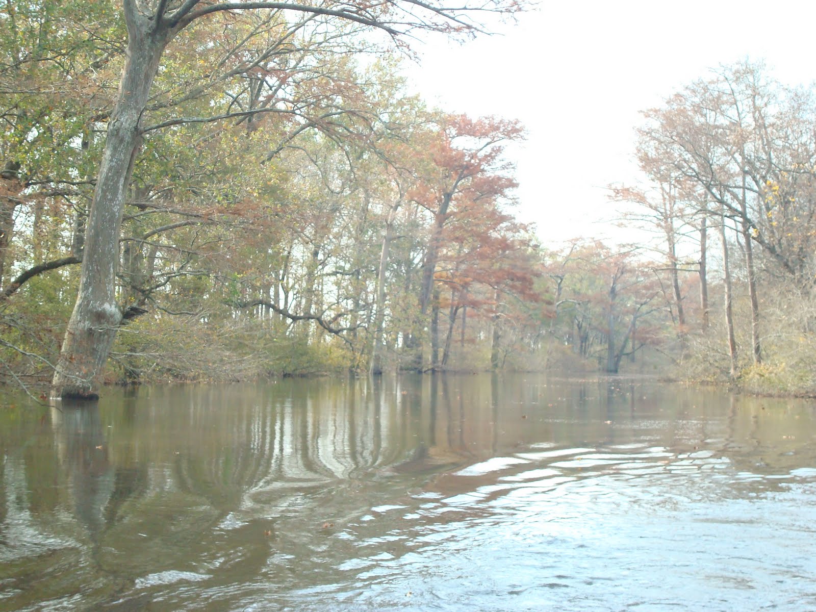 The Allen's World Bayou Meto Arkansas