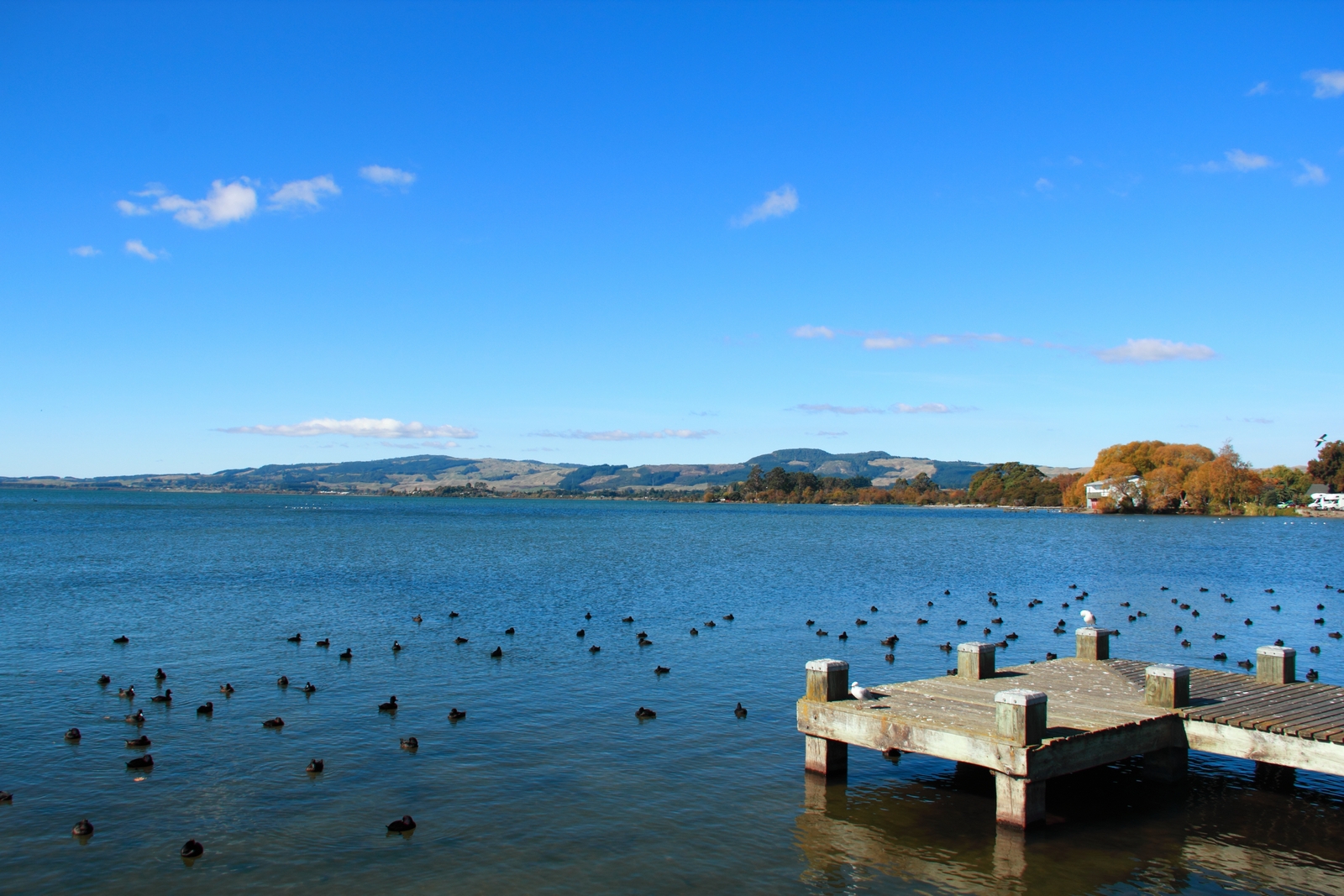 Lake Rotorua PhotoTale