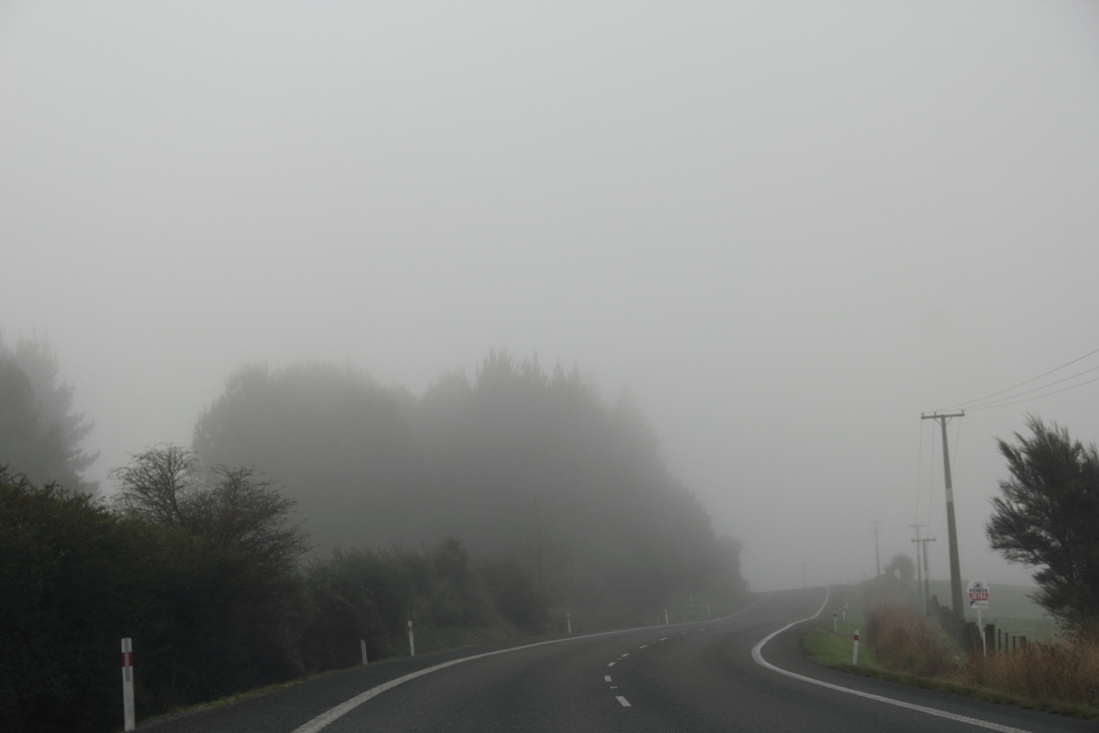 Driving in Fog PhotoTale