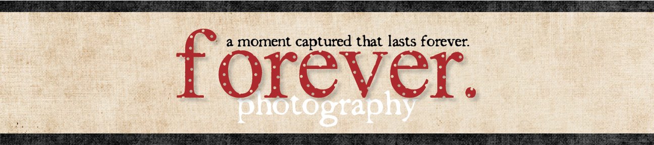 Forever Photography by Kristi Law