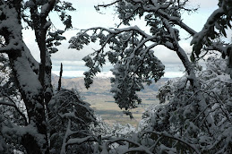 View of Hanmer Springs