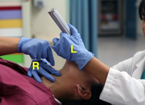 [Photo2_Bimanualsm.jpg]