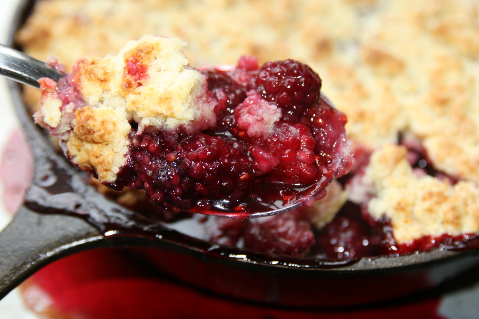 Haystacks & Champagne Blackberry Farm's Blackberry Cobbler