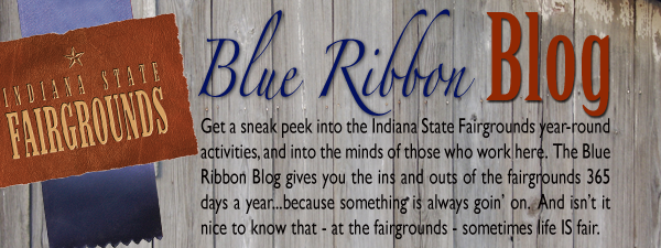 Blue Ribbon Blog